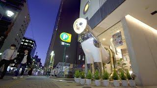 I stayed at  Hostel with cozy lounge in Hakata Fukuoka 福岡   // Only 35 minutes to airport