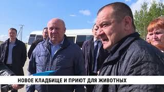 «Смотри Хабаровск» 03.10: приют для животных, заготовка силоса и турнир по голболу
