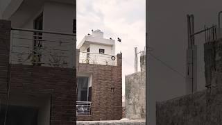 Kabutari bole kabutar se ️ ||Adarsh Singh official ||#shorts#ytshorts#youtubeshorts#viralvideo