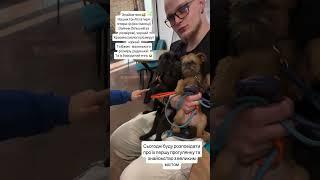 Перші кроки знайомства з вулицею