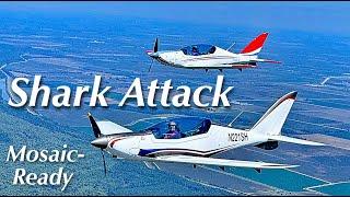 Shark, Mosaic-Ready Light-Sport Aircraft — Nov 2024