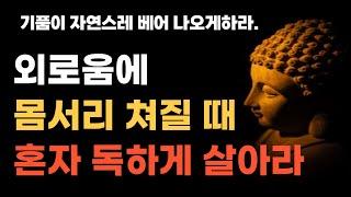 혼자 잘 사는 법ㅣ혼자 살아가는 방법ㅣ나이들수록 혼자가 되어야 하는 이유ㅣ노후 혼자 사는법ㅣ법륜스님ㅣ즉문즉설ㅣ명언ㅣ삶의 지혜ㅣ인생조언