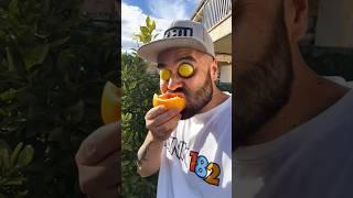 He Tried My Oranges… And Instantly Regretted It! ️ You Won’t Believe Why!