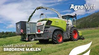 CLAAS JAGUAR 950 | Brødrene Mælen