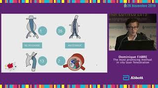 Perspectives 2019 - The most promising method : in situ laser fenestration, Dominique Fabre