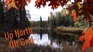 Up North Off Grid Cabin: Fall is here! Time to enjoy the beautiful colors in the woods.