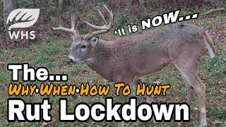 The Rut Lockdown And How To Hunt It