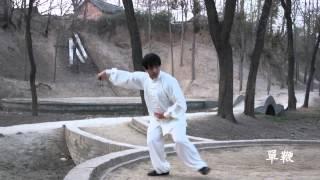 Chen Style Tai Ji Quan Lao Jia Yi Lu(陳氏太極拳 老架一路) ─ Lu Chien-Ming(呂建銘)