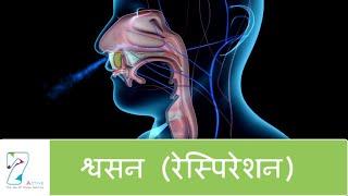 श्वसन | Respiration | Hindi