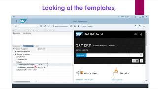 IS 437 Project - SAP Audit Management Demo