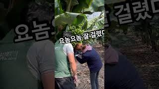 (흥미영상)농산물 지킴이 인사드립니다!