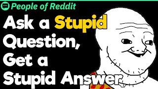 Ask a Stupid Question, Get a Stupid Answer