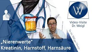 Erhöhte Nierenwerte in Blut & Urin  Kreatinin, Harnsäure, Harnstoff & Cystatin C verbessern