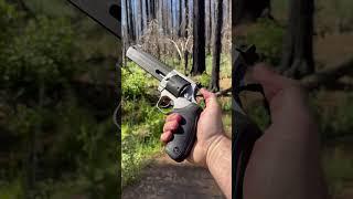 Taurus 454 Raging Hunter