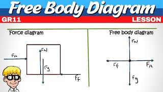 Grade 11 Newton Laws: Free body and force diagram