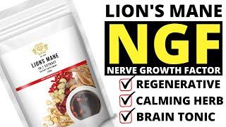 Lion's Mane Mushroom: Nerve Growth Factor (NGF). Regenerative. Calming Herb. Brain Tonic.