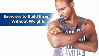 5 Exercises to Build Biceps Without Weights | epainassist