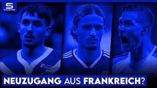 Holt Schalke Hamache? Transfer-Wende bei Polter? Talente vor Debüt? 7 Spieler fallen aus! | S04 NEWS