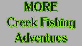 Is There More Creek Fishing Adventures?