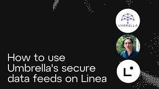 How to use Umbrella's secure data feeds on Linea