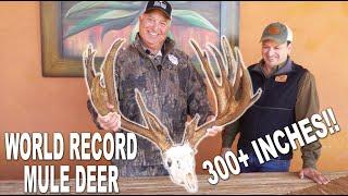 SCI WORLD RECORD Mexico Mule Deer Trophy!