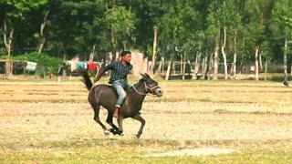 Bangladeshi boys horse racing in village || amazing horse racing 2020 Bangladesh