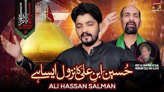 Hussain Ibn E Ali Ka Nazool Aisa Hai | Ali Hassan Salman | Nohay | Moharram | 2024 | TP Muharram