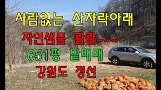 산에서내려오는샘물 자연인 생활하는 청정지역651평밭매매(정선임계부동산)