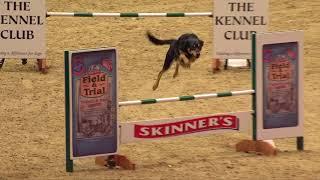 The Kennel Club ABC Dog Agility Final at Olympia 2017