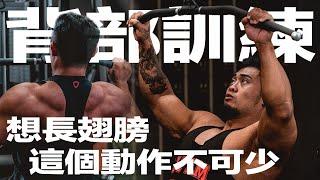 IFBB PRO 超級熱狗王 | 背肌課表必備動作！帶你深入了解滑輪下拉有多重要！