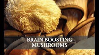 SHORT #15 Dr. Lisa Broyles on Brain Boosting Mushrooms - Cutting Edge Health Podcasts