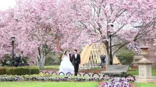 Meadowlark Gardens - Vienna, Virginia Wedding Photography by Pavel Capitol Hill The Smithsonian