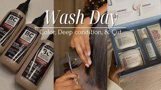 Wash Day | Hair Color + Deep Condition + Cutting Layers | Niara Alexis