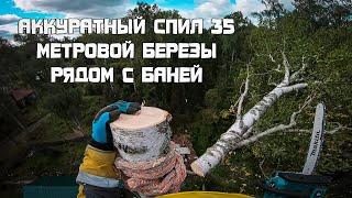 Аккуратный спил 35 метровой березы рядом с баней. Тест аккумуляторной пилы Makita. Арбористика.