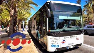 Buses in Spain  Europe Public City Transport | EMT Malaga Bus Models