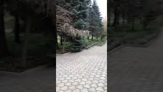 #257 Санаторий Кодру. Как сюда попасть? Молдавия 2024