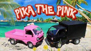 PIKA THE PINK