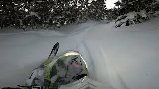 Skidoo 850 turbo (Alaska tree riding and hill climbs)