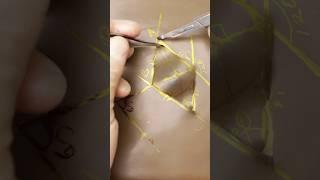 Limburg’s Skin Flaps #surgery #suturing #goodtoknow #funfacts #vet #medicine #surgeon #surgeonlife
