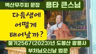 용타 큰스님 도봉산 광륜사 법어  -다음생에 어떻게 태어날까?