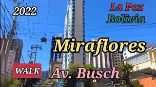 (WALK) Av. Busch in Miraflores, La Paz, Bolivia 라파스 미라플로레스 동네의 부시 거리 걷기 Ep 041