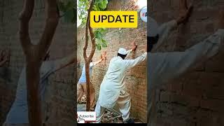 HDL TV channel