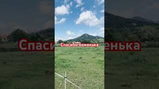 Мудрость #мудростьдня #цитата #мысливслух #