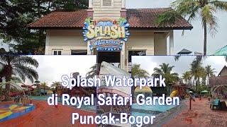 Wisata Kolam renang Splash Waterpark - Royal Safari Garden Puncak Bogor