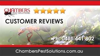 Chambers Pest Solutions Customer Reviews - Perth, WA