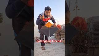 Patangbazi Meerut #kite #kiteflying #minivlog #meerutvlog #india #meerutkite #vlog