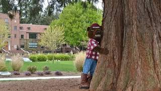 University of Puget Sound Alma Mater