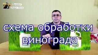 Схема обработки винограда