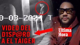 ÚLTIMA EL TAIGERMUY FUERTE: EL VIDEO DEL D13P@R0 Y DAMIÁN ARRASTRÁNDOLO‼️