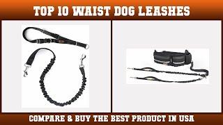 Top 10 Waist Dog Leashes to buy in USA 2021 | Price & Review